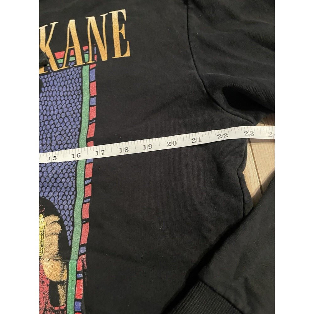 Big Daddy Kane Retro Graphic Pullover Hoodie – Black – Unisex No Size - Picture 5 of 6